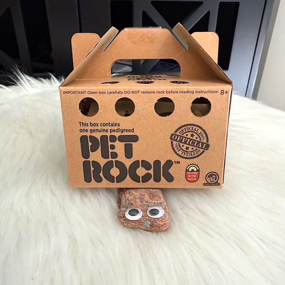 Classic Original Pet Rock (NWT/NIB) - Picture 4 of 7